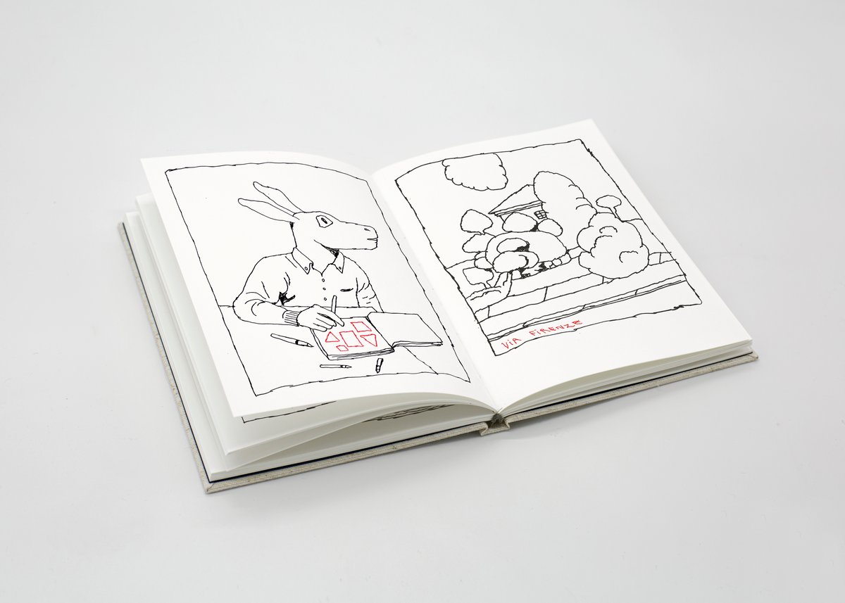 Image of ASINO CHI LEGGE + GATTO COSMICO