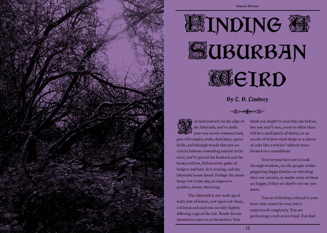 Grimoire Silvanus Zine Issue 3