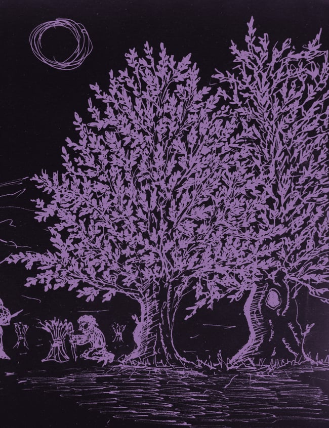 Grimoire Silvanus Zine Issue 3