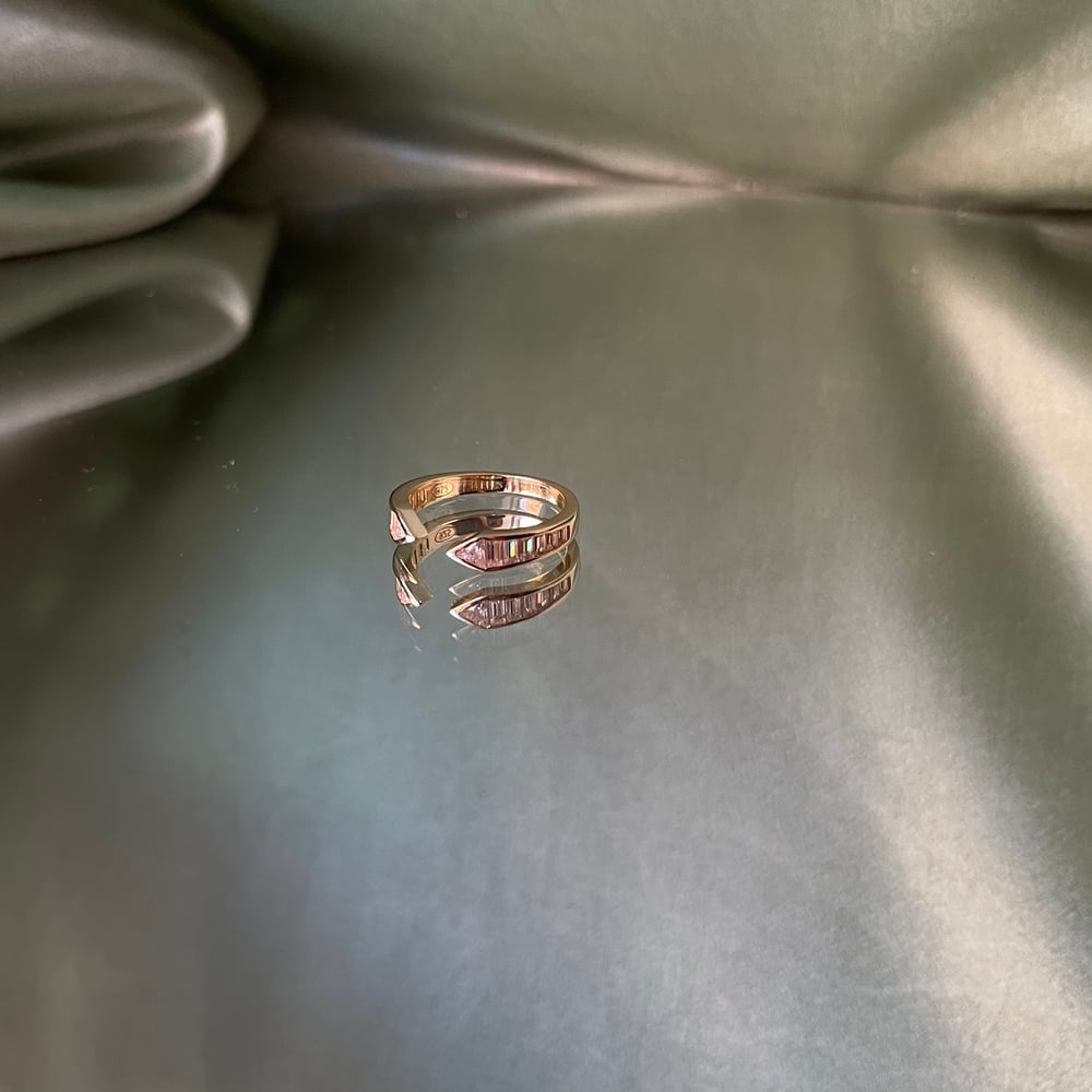 Image of Open Cut Encrusted Ring