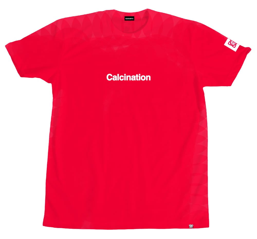 Image of KingNYC Calcination T-Shirt 
