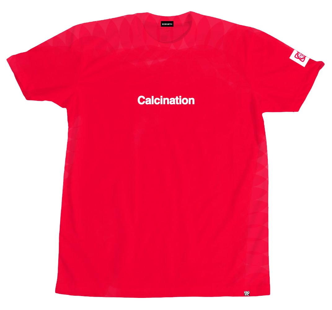 Image of KingNYC Calcination T-Shirt 