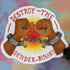 Destroy The Gender Binary Sticker