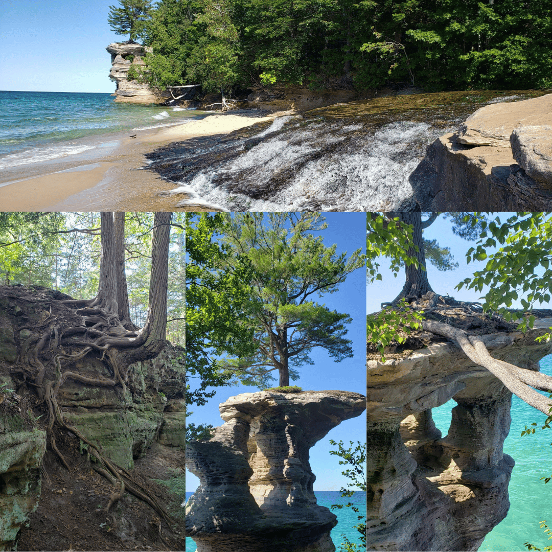 2021 Christmas Advent Calendar | Multifarious Nature