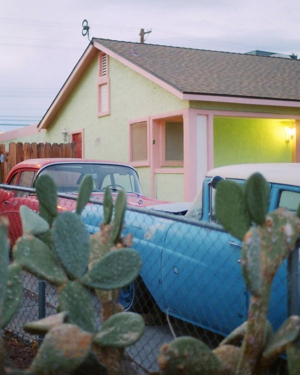 Image of Cactus and Pastels