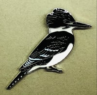 Image 2 of Belted Kingfisher - May 2021 - Enamel Pin Badge 