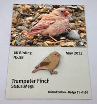 Image 1 of Trumpeter Finch - May 2021 - Enamel Pin Badge