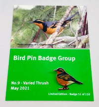 Image 1 of Varied Thrush - No.9 - Bird Pin Group Series