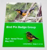 Image 1 of Varied Thrush - No.9 - Bird Pin Group Series