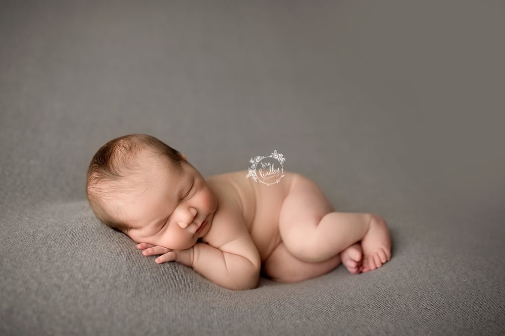 Image of Pablo beanbag backdrop in Gray