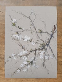 Image 1 of Spring branches II ~ limited edition giclée print