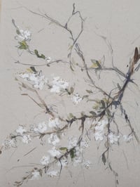 Image 2 of Spring branches II ~ limited edition giclée print