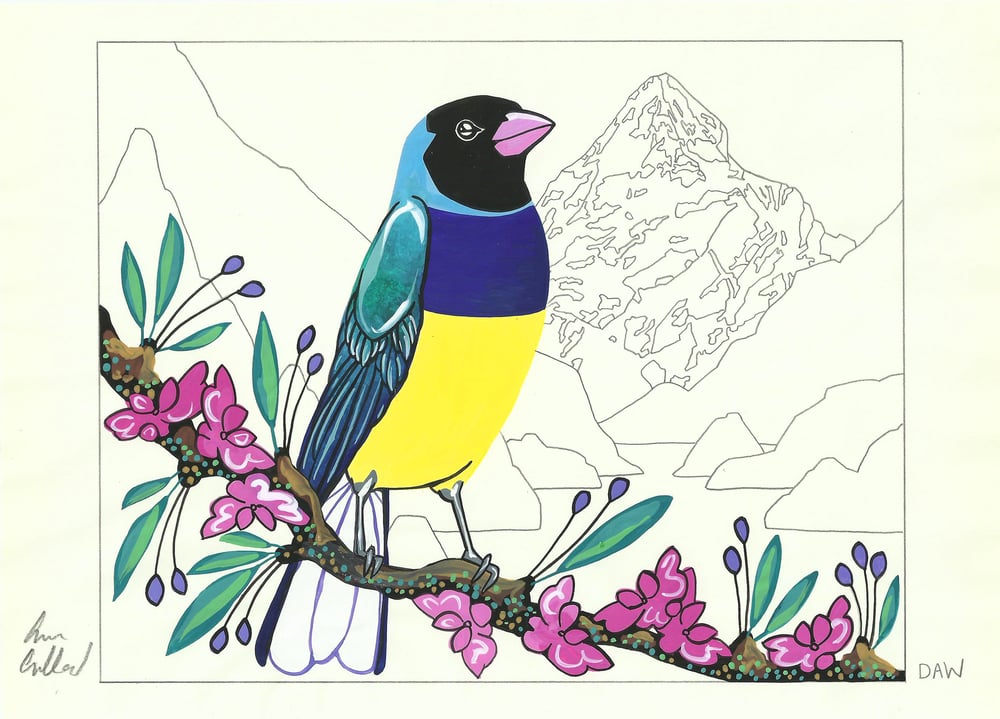 Image of Gouldian Finch and Phaedra