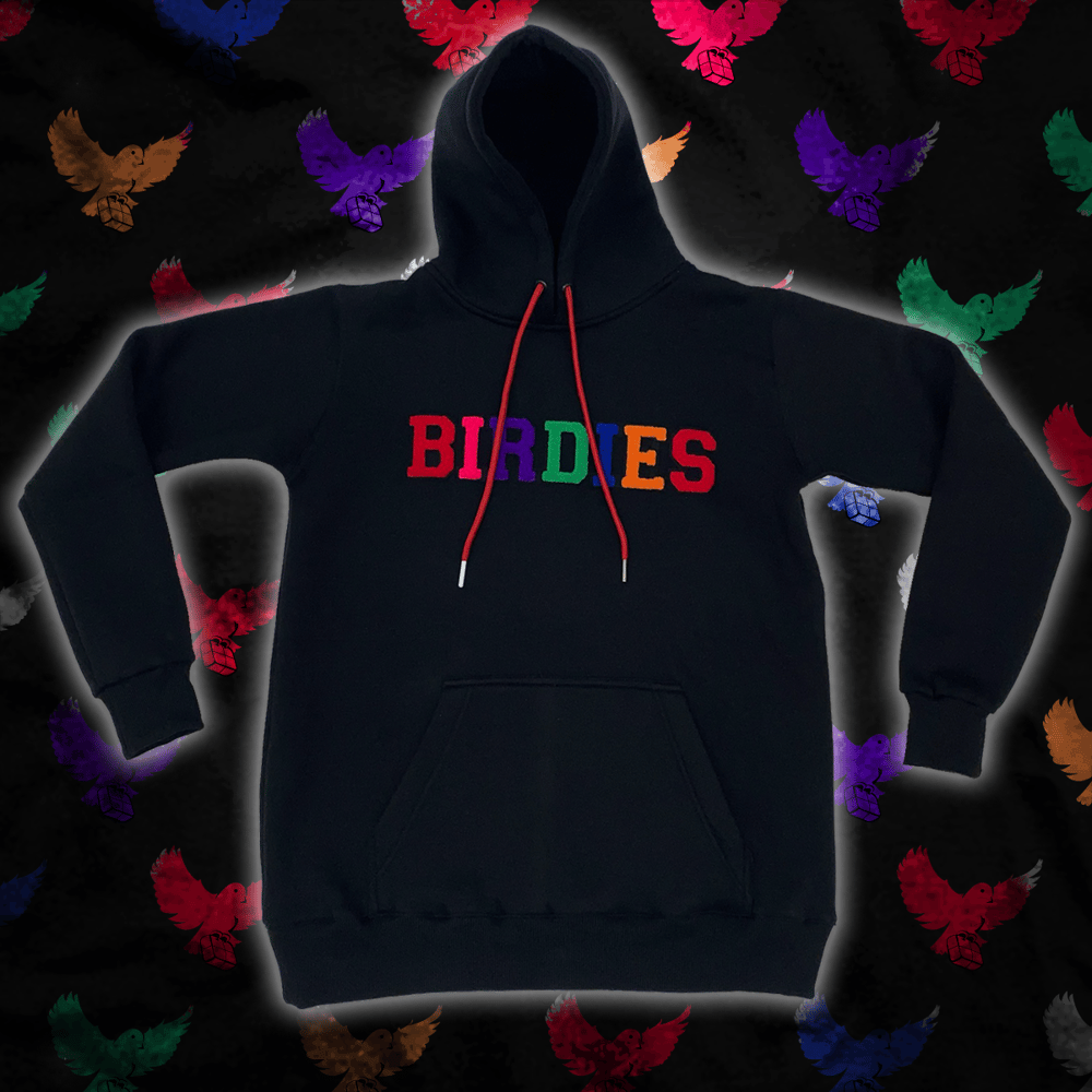 Image of Black / Multi-color Chenille Hoodie