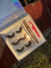 Lash Book