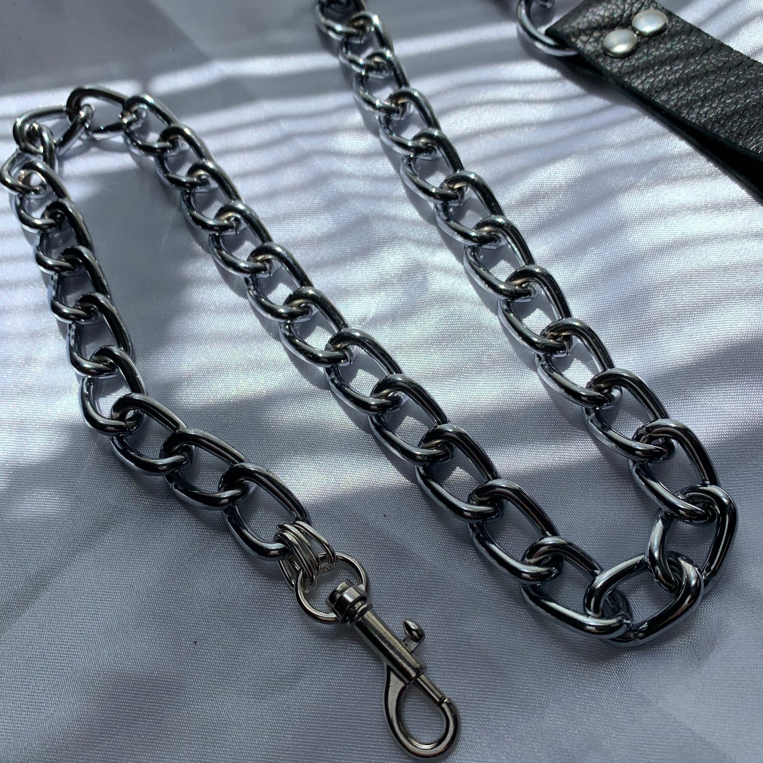 Image of Chain Leash