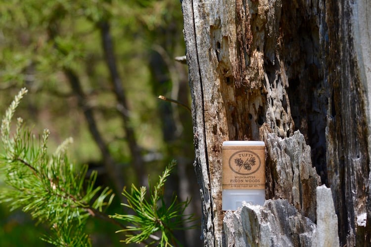 Image of Wildcrafted Piñon Balms