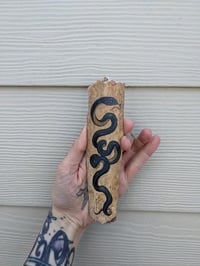 Image 1 of Snake Rib Bone