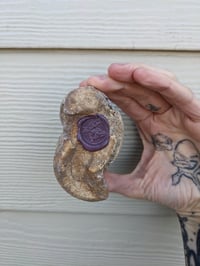 Image 2 of Mushroom Bone