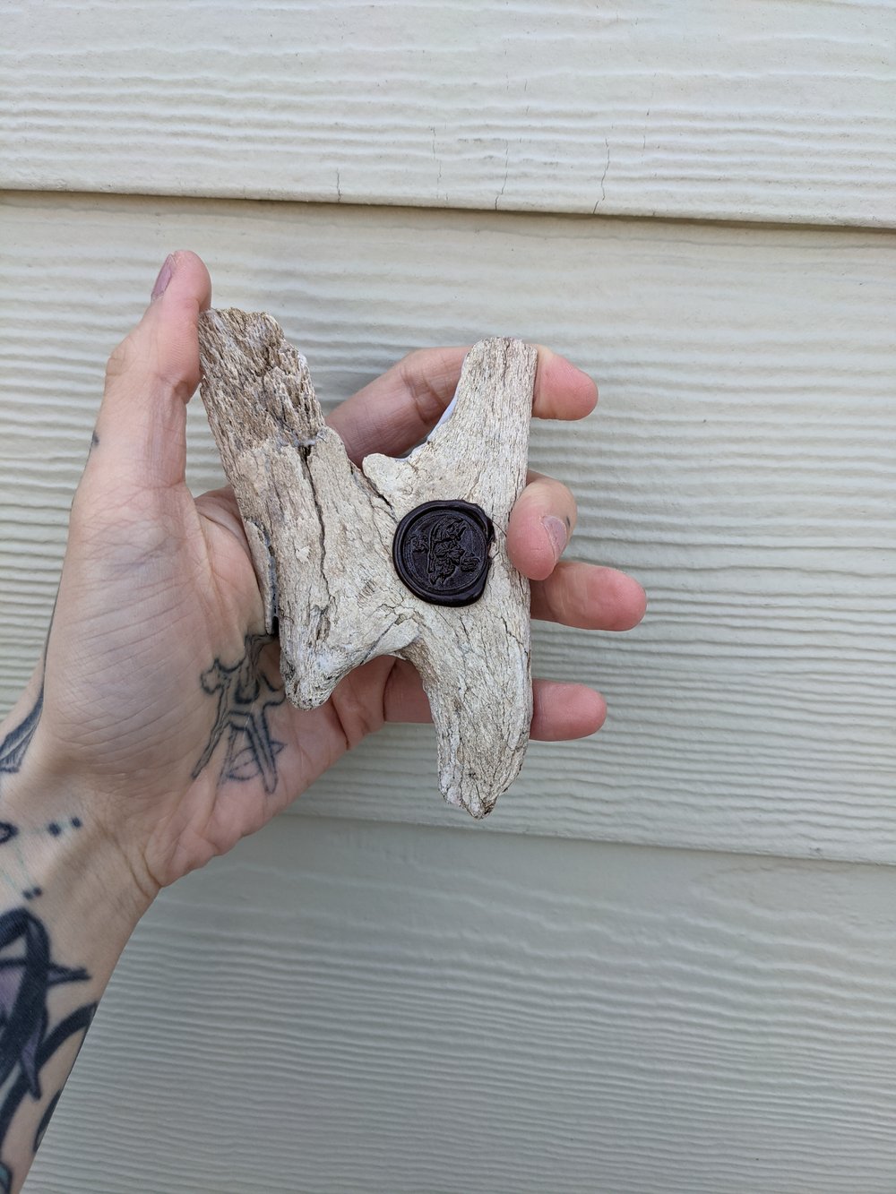 Demon Bone Shard