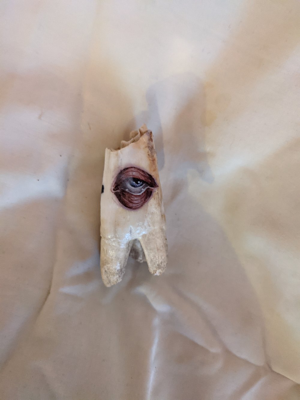 Eye Tooth