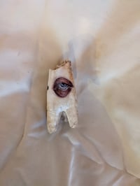 Image 3 of Eye Tooth