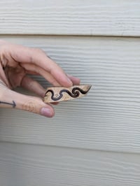 Image 2 of Red Snake Bone Slice