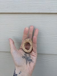 Image 4 of Red Snake Bone Slice