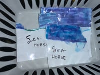 Sea horse blows 🌊