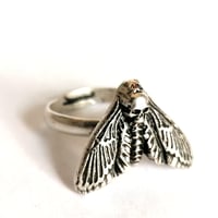 Image 2 of Antiqued Death's-Head Moth Ring