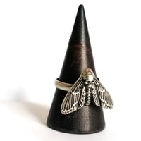 Image 3 of Antiqued Death's-Head Moth Ring