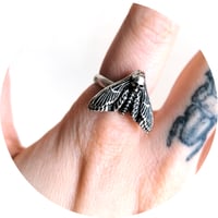 Image 4 of Antiqued Death's-Head Moth Ring