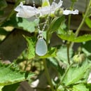 Image 3 of Aquamarine 16-18in Sterling Silver Necklace (Custom)