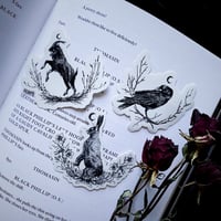 Image 1 of The VVitch Sticker Pack