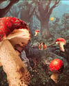Mushroom lagoon 