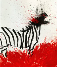 Zebra, print