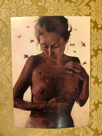 Image 2 of Tierra Madre / Motherland A3
