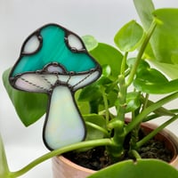 Image 1 of Teal Plant Buddy 