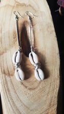 Cowrie Shell Ear-Rings Collection (1)