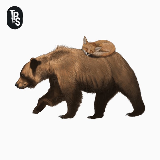 Bear & Fox T-Shirt Organic Cotton