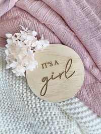 Gender Reveal Disc 