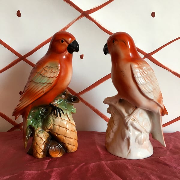 Image of Ornamental Parrot (sold separately) 
