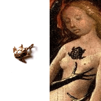 Image 1 of SMALLEST OF THE TOADS