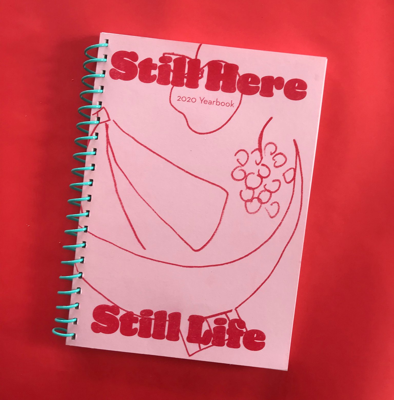 Still Here Still Life Book Still Here Still Life