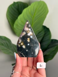 Image 12 of CHOOSE YOUR OWN SEA JASPER FLAME -MADAGASCAR-