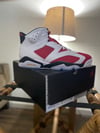 Air Jordan’s Carmine 6’s