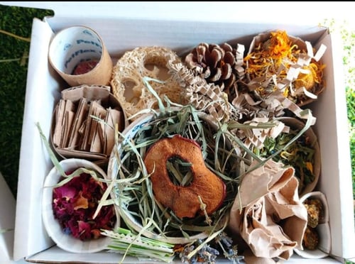 Image of Enrichment forage box