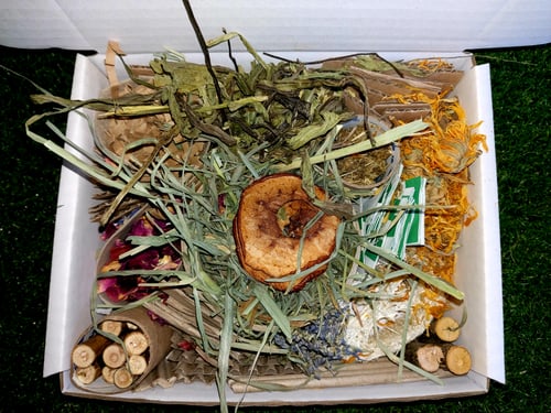 Image of Enrichment forage box