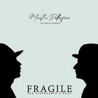 Maestro Pellegrini - "Fragile per pianoforte e voce"