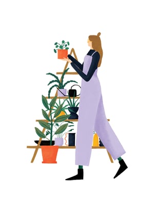 Image of The plant collector